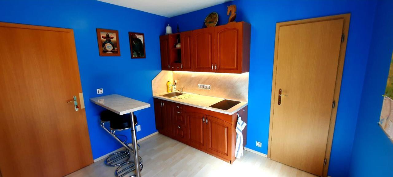 Pool Apartment Karlovy Vary
