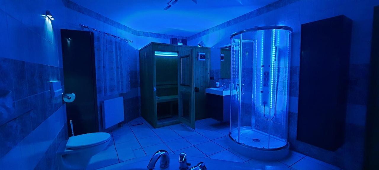 Pool Apartment Karlovy Vary