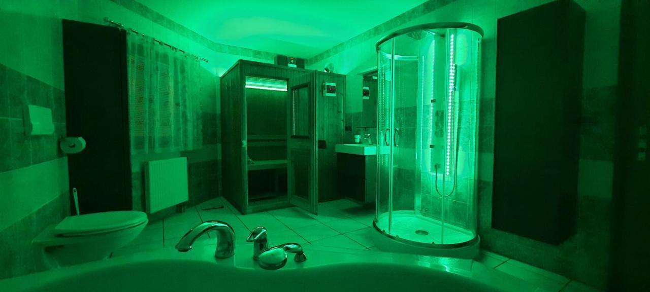 Pool Apartment Karlovy Vary