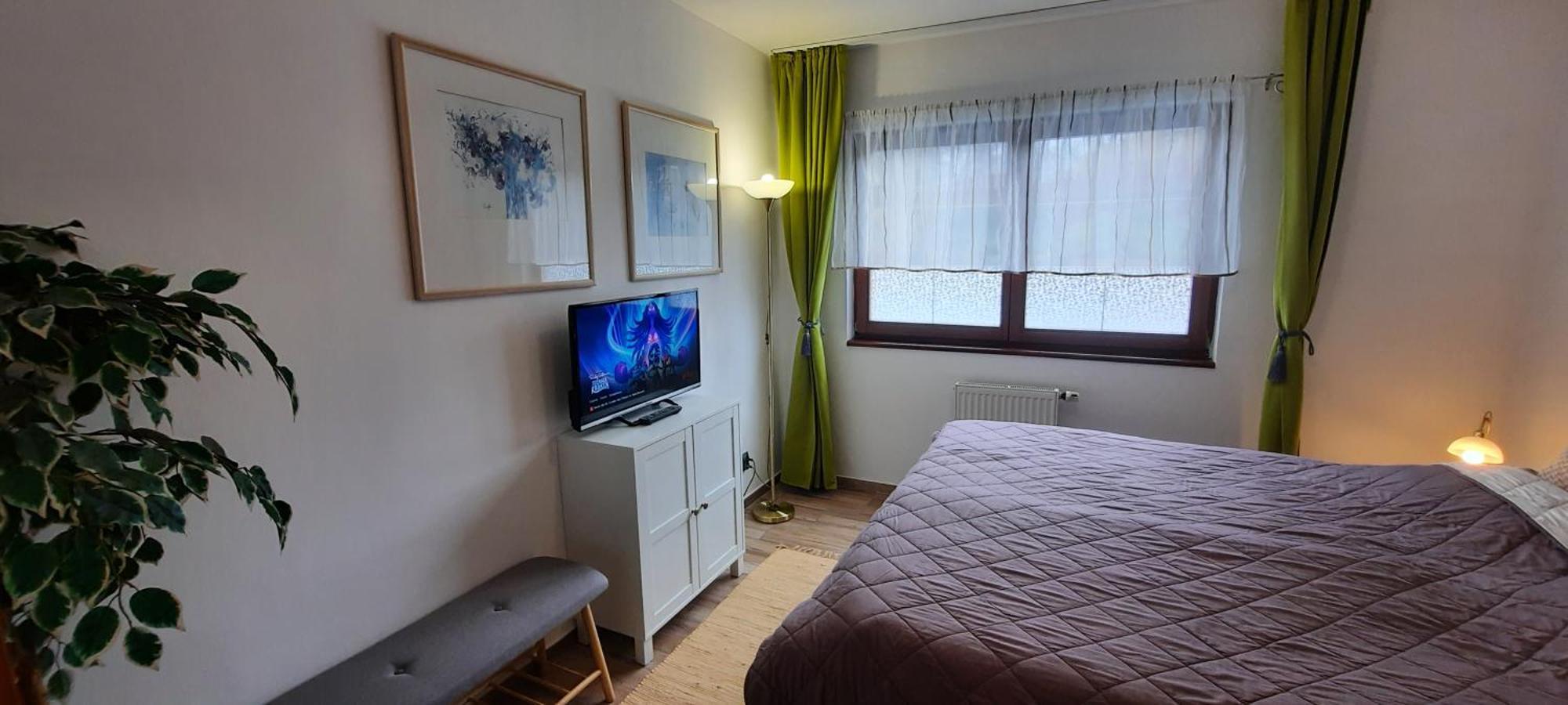 Pool Apartment Karlovy Vary